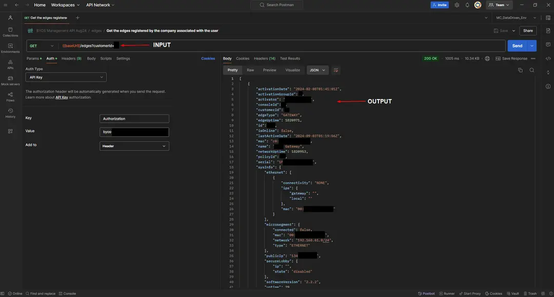 Using API Keys in Postman